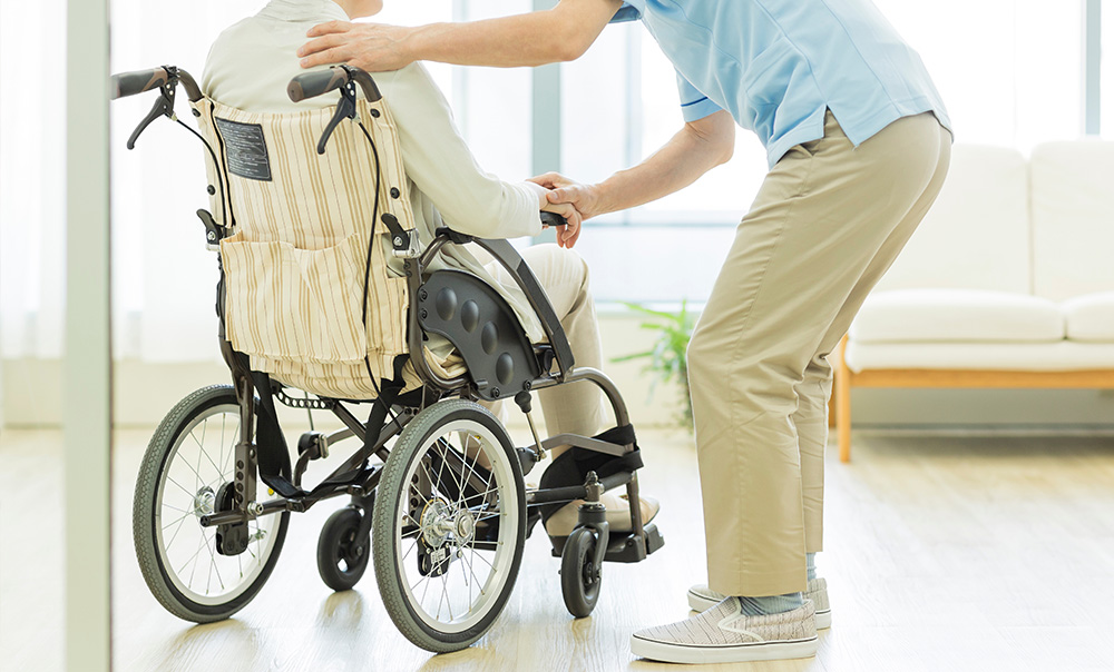 宝樹の特徴画像